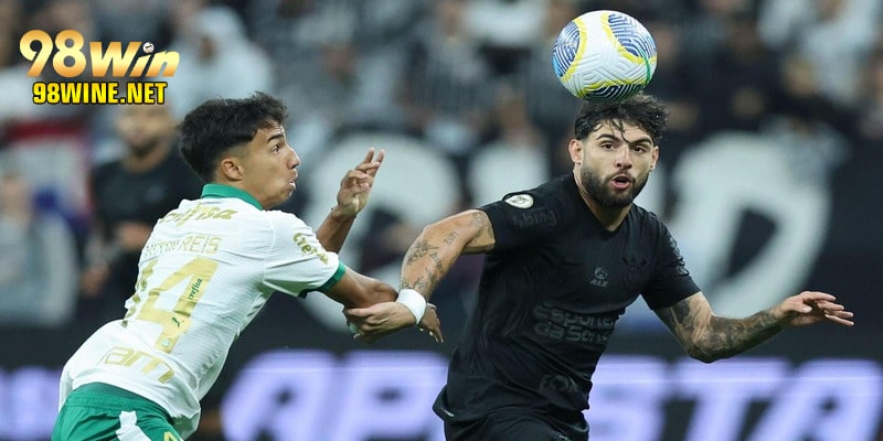 Soi kèo là bước quan trọng trước khi tiến hành cá cược